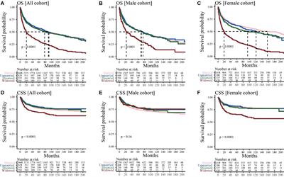 Influence of marital status on the treatment and survival of middle-aged and elderly patients with primary bone cancer